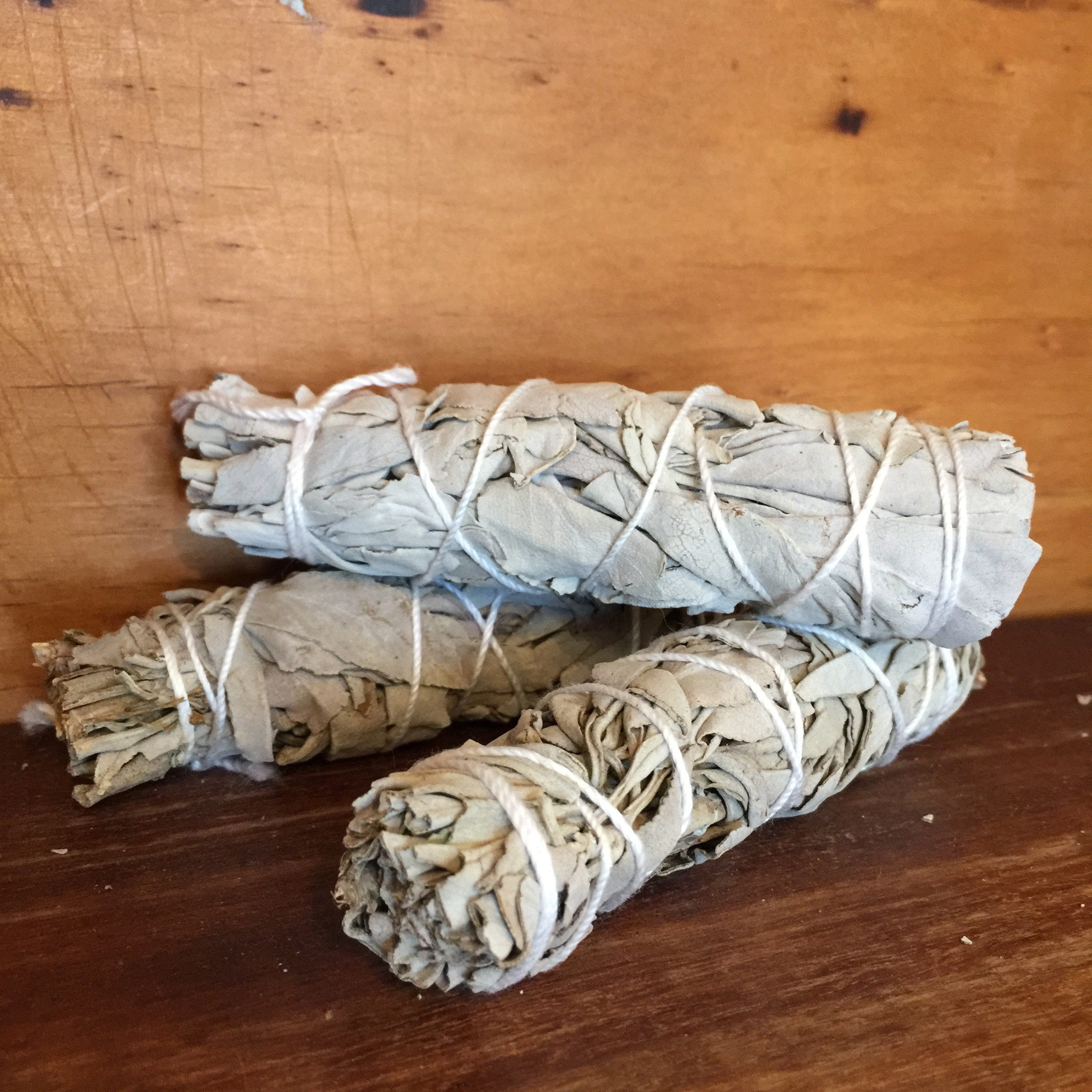 Salvia de California